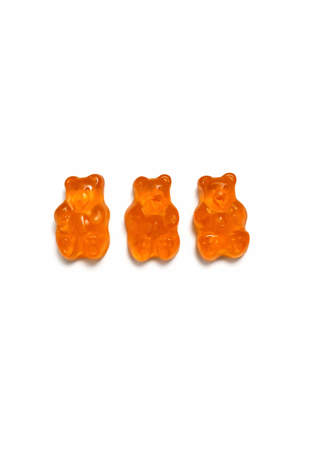 Orange Bears