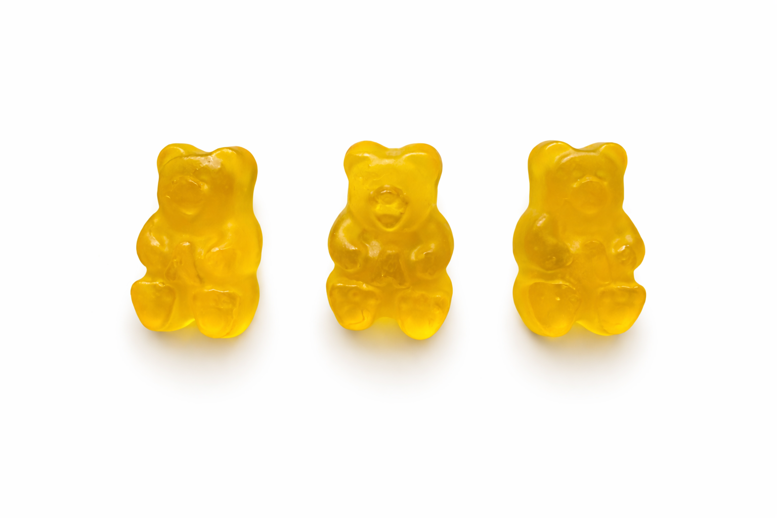Mango Bears